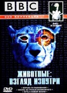 BBC: Животные: взгляд изнутри - фильм (2002) на сайте о хорошем кино Устрица