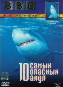 BBC: Живая природа. 10 самых опасных акул - фильм (2001) на сайте о хорошем кино Устрица