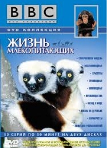 BBC: Жизнь млекопитающих (Часть 1) - фильм (2003) на сайте о хорошем кино Устрица