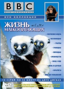 BBC: Жизнь млекопитающих (Часть 2) - фильм (2003) на сайте о хорошем кино Устрица