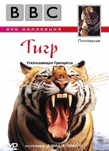 BBC: Тигр - фильм (1999) на сайте о хорошем кино Устрица