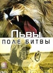 BBC: Львы. Поле битвы - фильм (2005) на сайте о хорошем кино Устрица